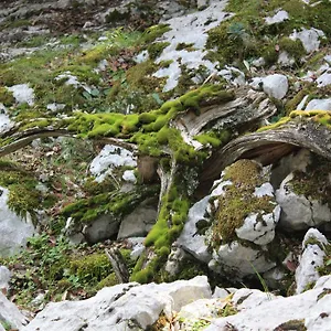 Supramonte Orgosolo